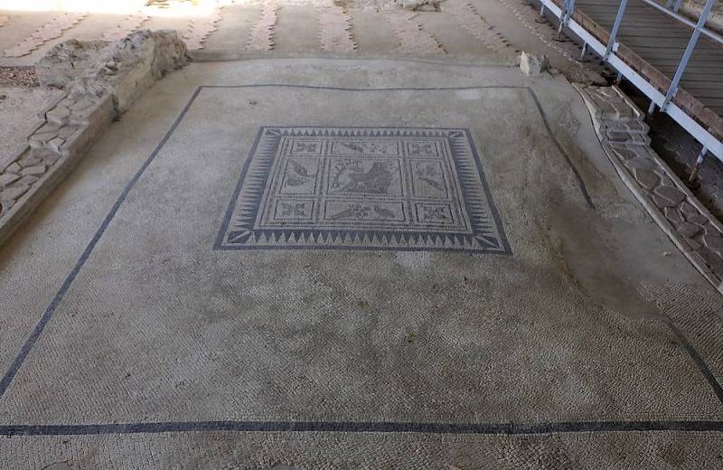 Pavimento a mosaico nella Domus dei Coiedii del Parco Archeologico dell'antica Città Romana di Suasa