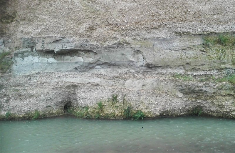 L’enorme strato di ghiaia trasportato dal fiume Cesano dopo lo scioglimento dei ghiacci, Foresta fossile a Monte Porzio