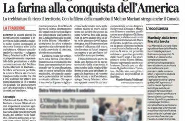 DA BARBARA AGLI STATES, IL GRANO D'ORO. LA FARINA ALLA CONQUISTA DELL'AMERICA