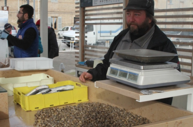 Lumachine al mercato del Porto di Senigallia