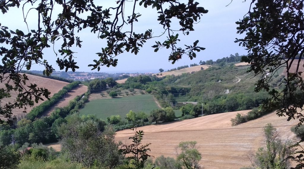 La Cava di San Gaudenzio o monte della Gessara verso Sant'Angelo