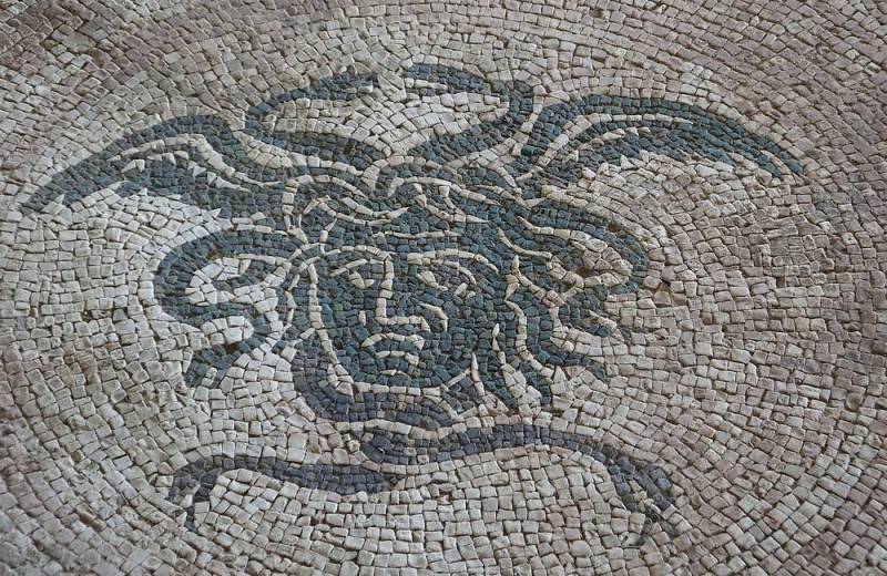 Mosaico nella Domus dei Coiedii del Parco Archeologico dell'antica Città Romana di Suasa