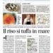 IL RISO SI TUFFA IN MARE