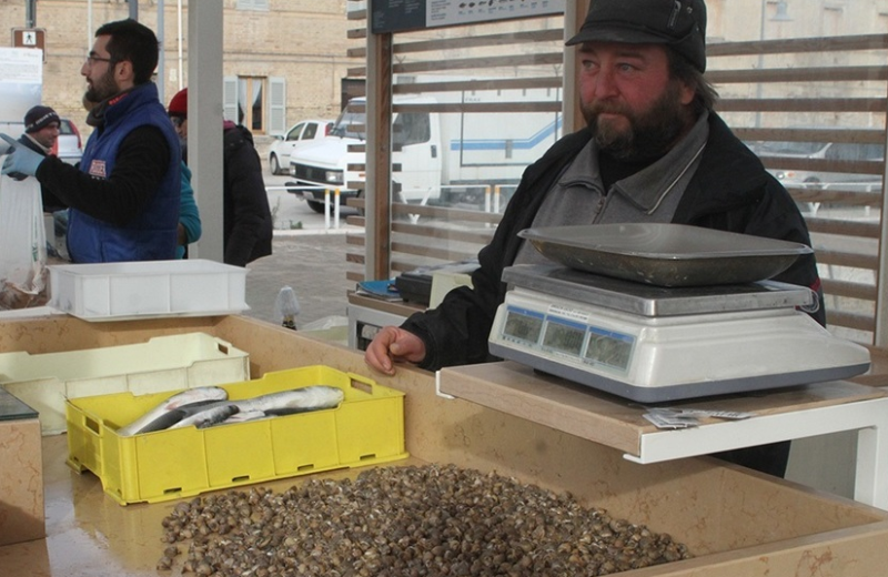 Lumachine al mercato del Porto di Senigallia