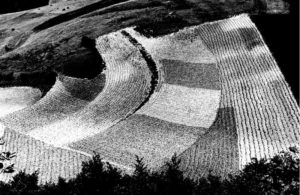Mario Giacomelli Presa di coscienza sulla natura Paesaggio agricolo marchigiano 1985